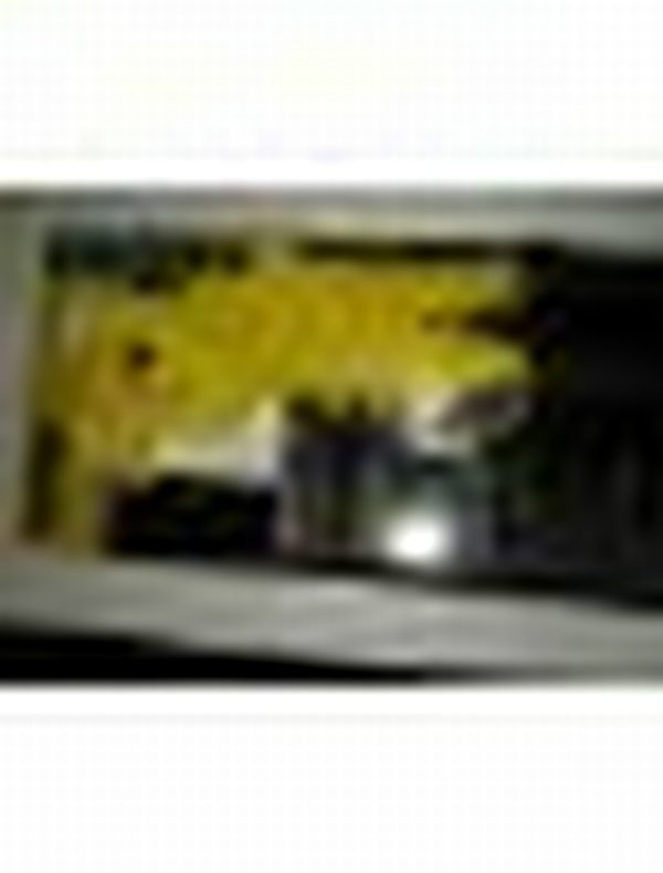Stanley Tools Riveter Swivel Head MR77C - Image 3